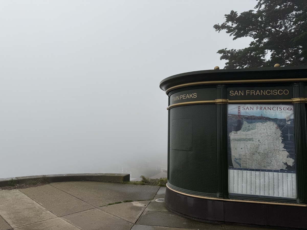 Twin Peaks Christmas Tree Point photo 6