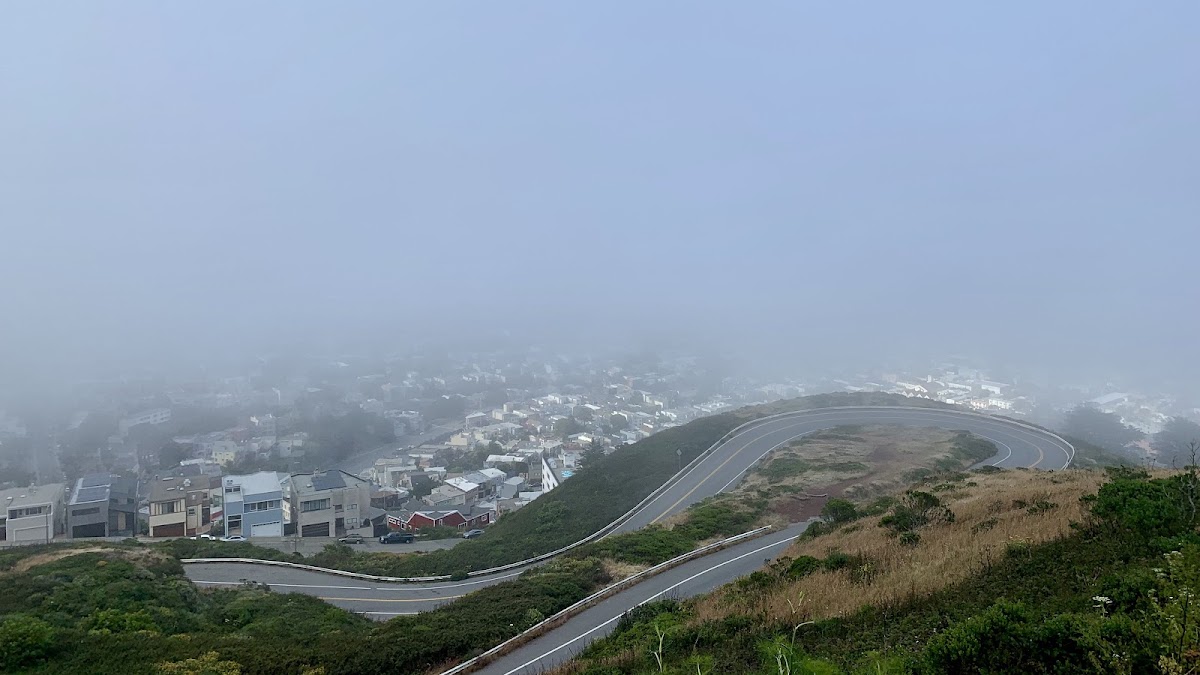 Twin Peaks Christmas Tree Point photo 7