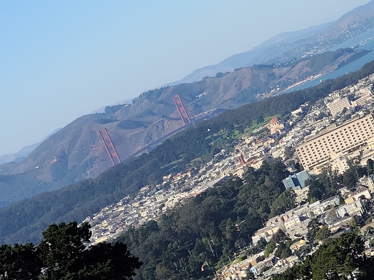 Twin Peaks Christmas Tree Point photo 9