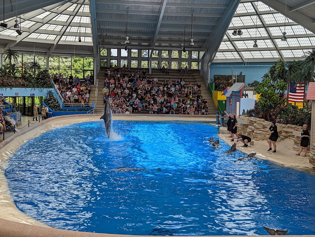 Brookfield Zoo Chicago photo 2
