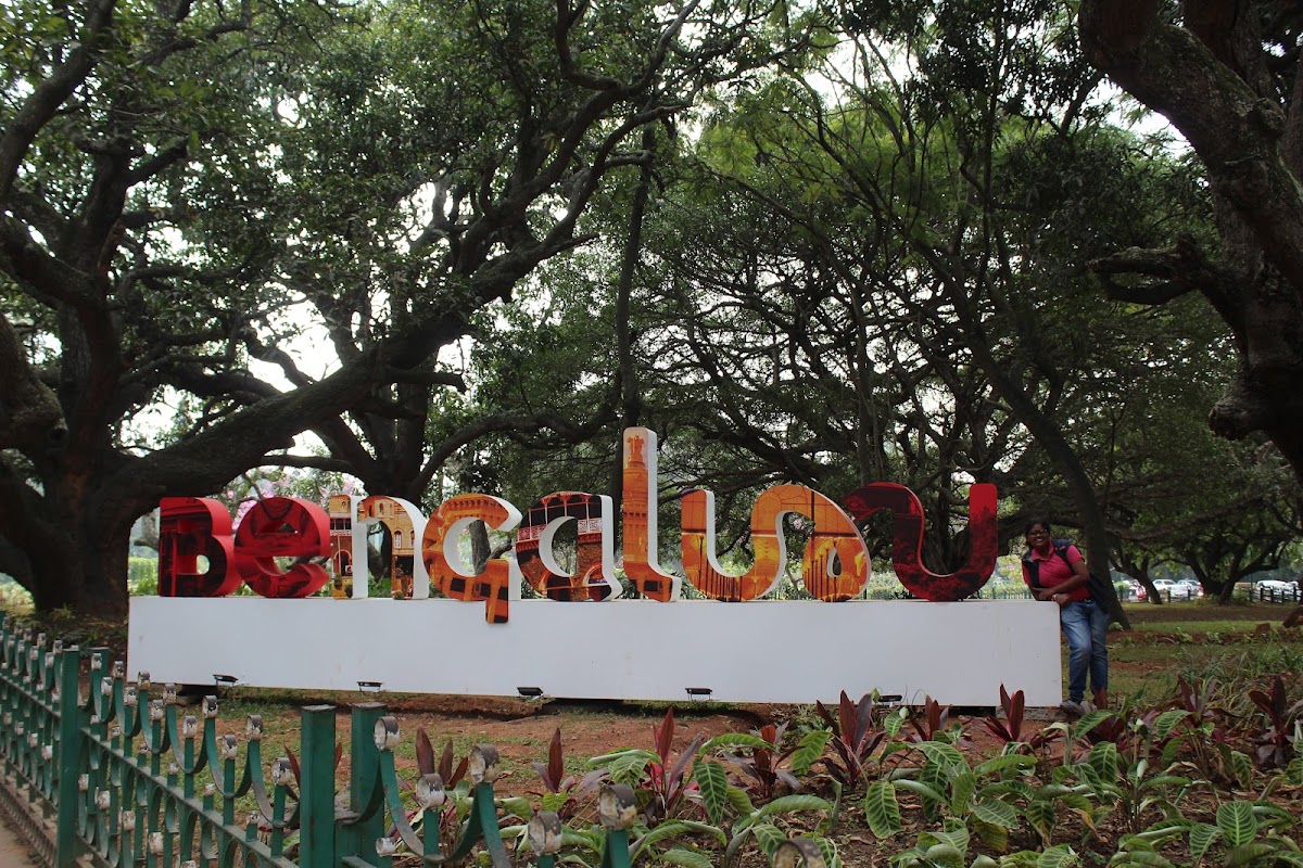 Sri Chamarajendra Park photo 10
