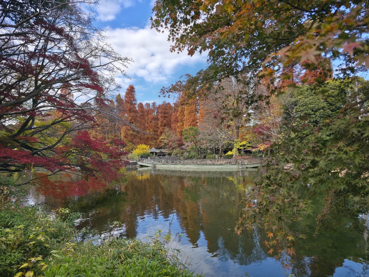 Inokashira Park photo 2