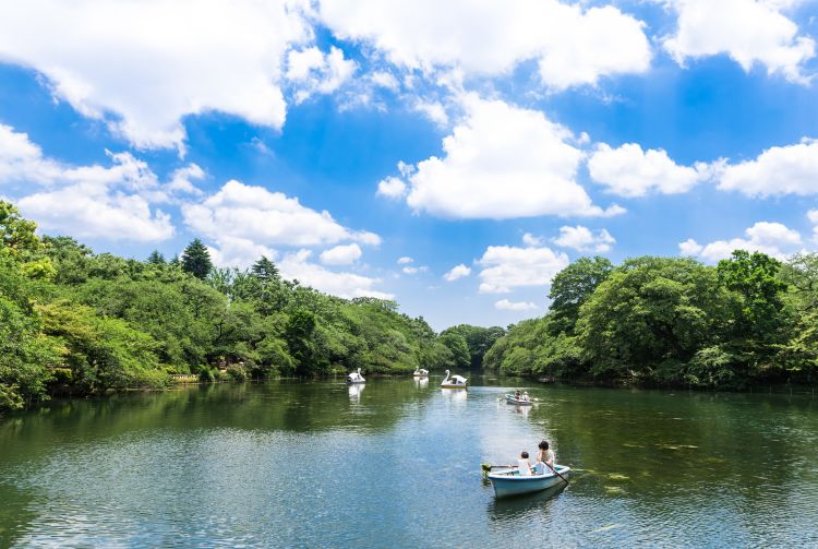 Inokashira Park photo 4