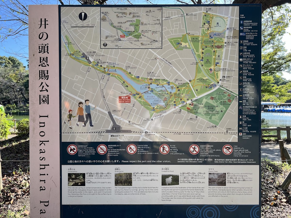 Inokashira Park photo 7