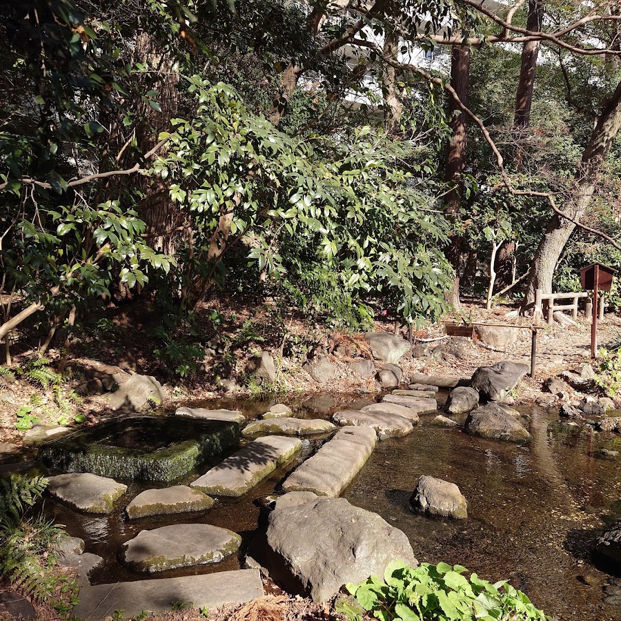 Inokashira Park photo 8
