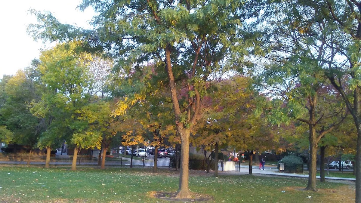 Senka Park photo 10