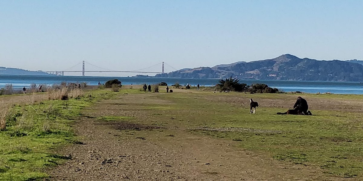 Point Isabel Regional Shoreline