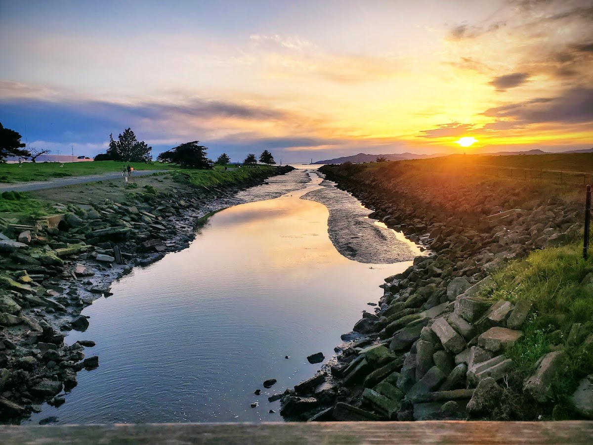 Point Isabel Regional Shoreline photo 3