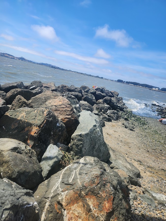 Point Isabel Regional Shoreline photo 5