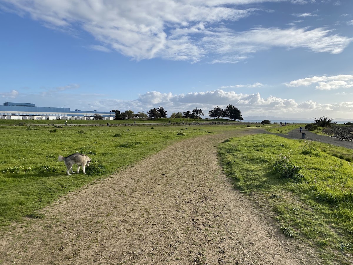 Point Isabel Regional Shoreline photo 8
