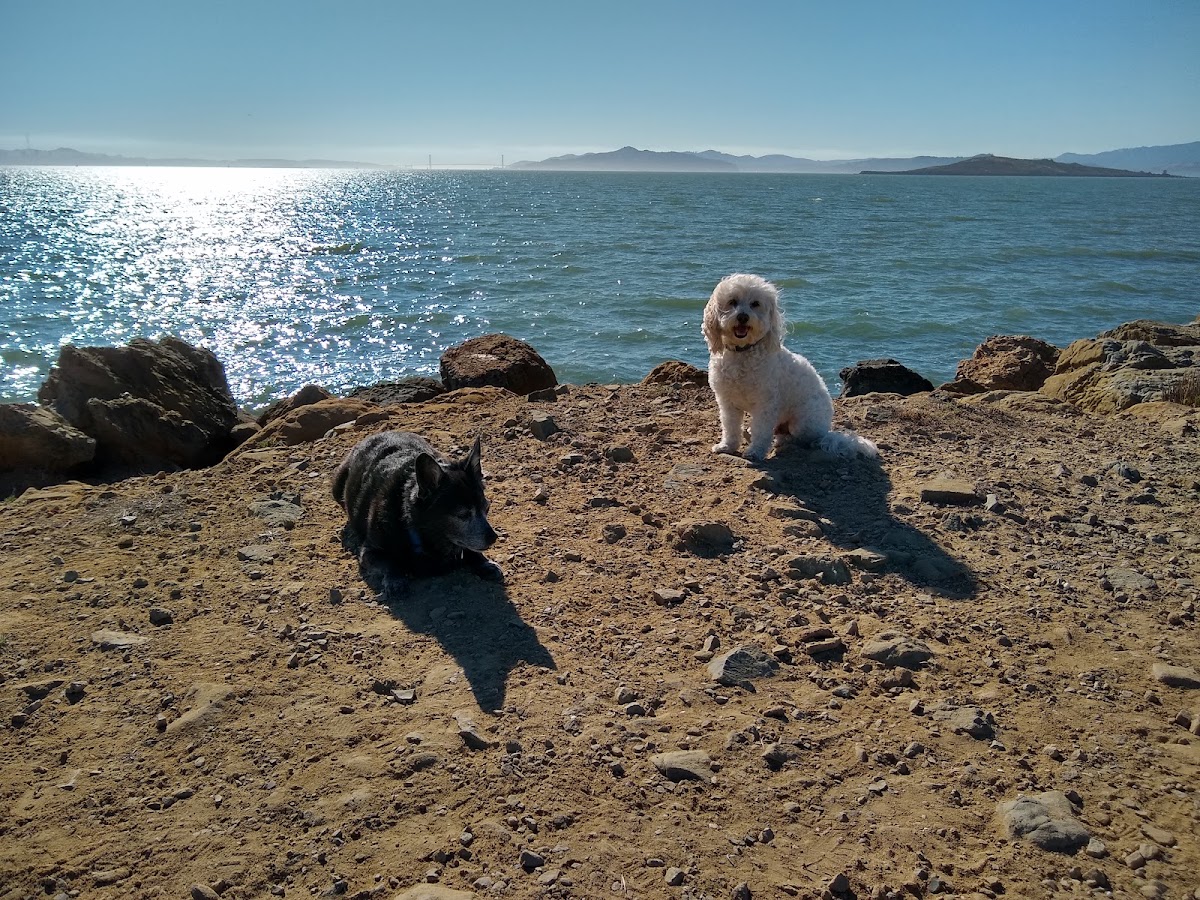 Point Isabel Regional Shoreline photo 10