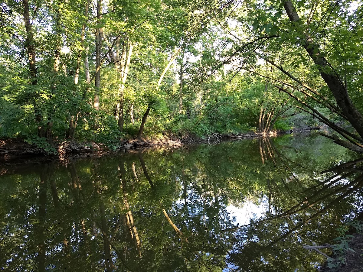 LaBagh Woods photo 2