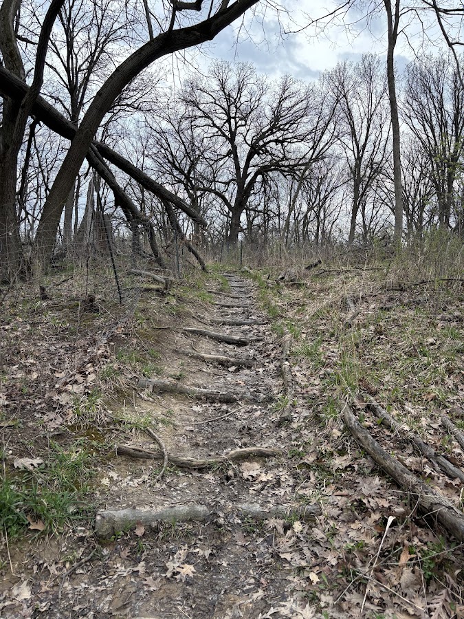LaBagh Woods photo 7