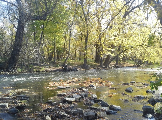 LaBagh Woods photo 8