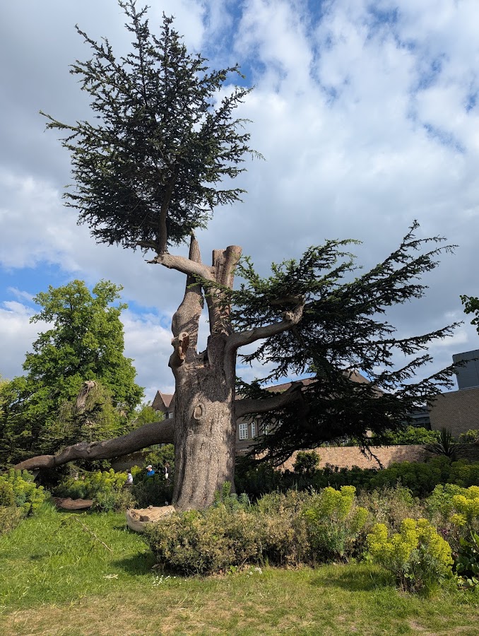 Walpole Park photo 7