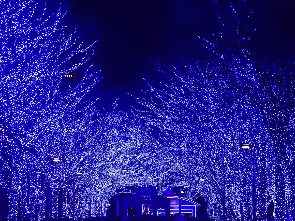 Yoyogi Park photo 4