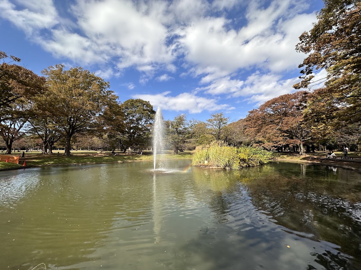 Yoyogi Park photo 6