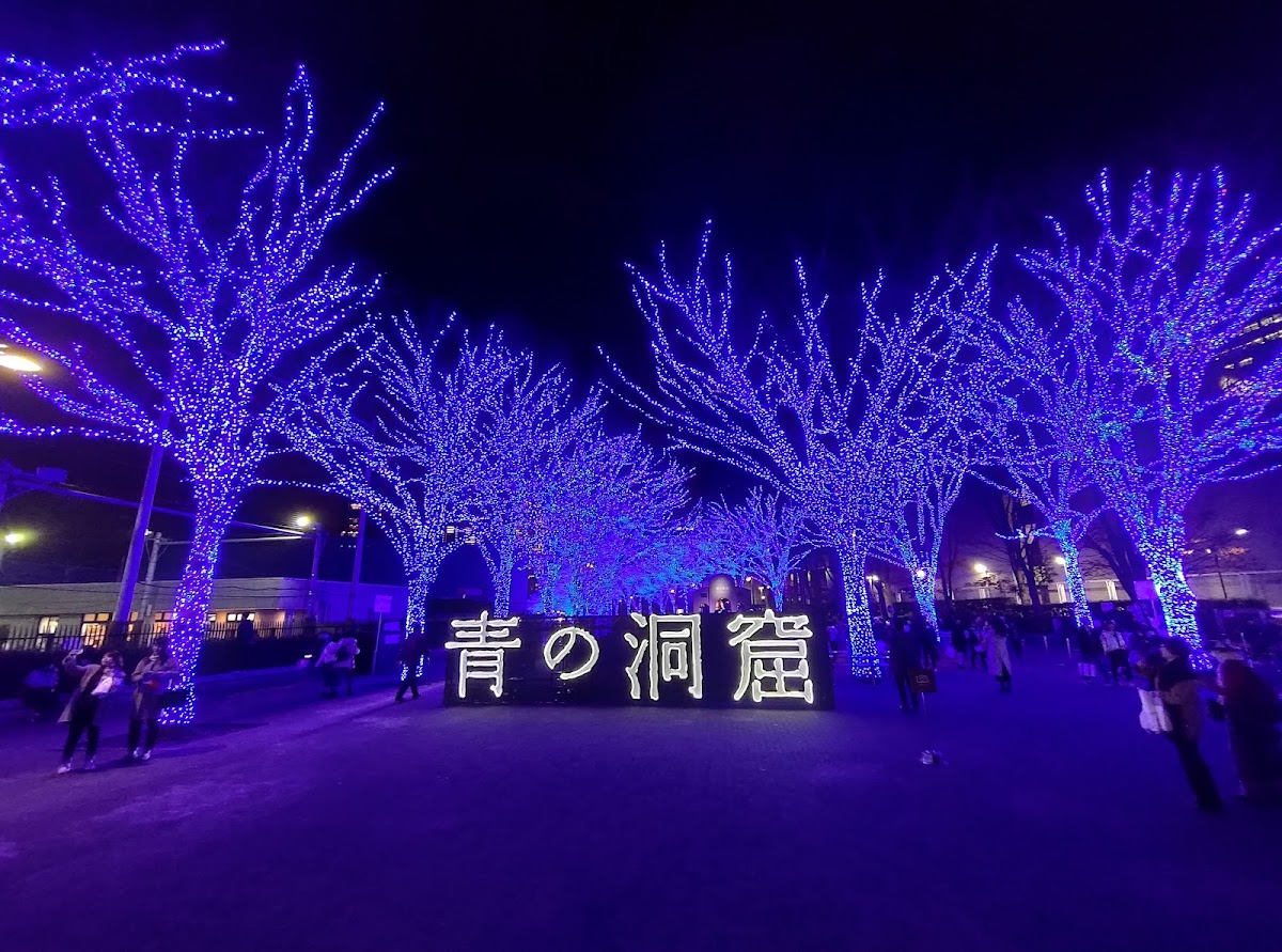 Yoyogi Park photo 8