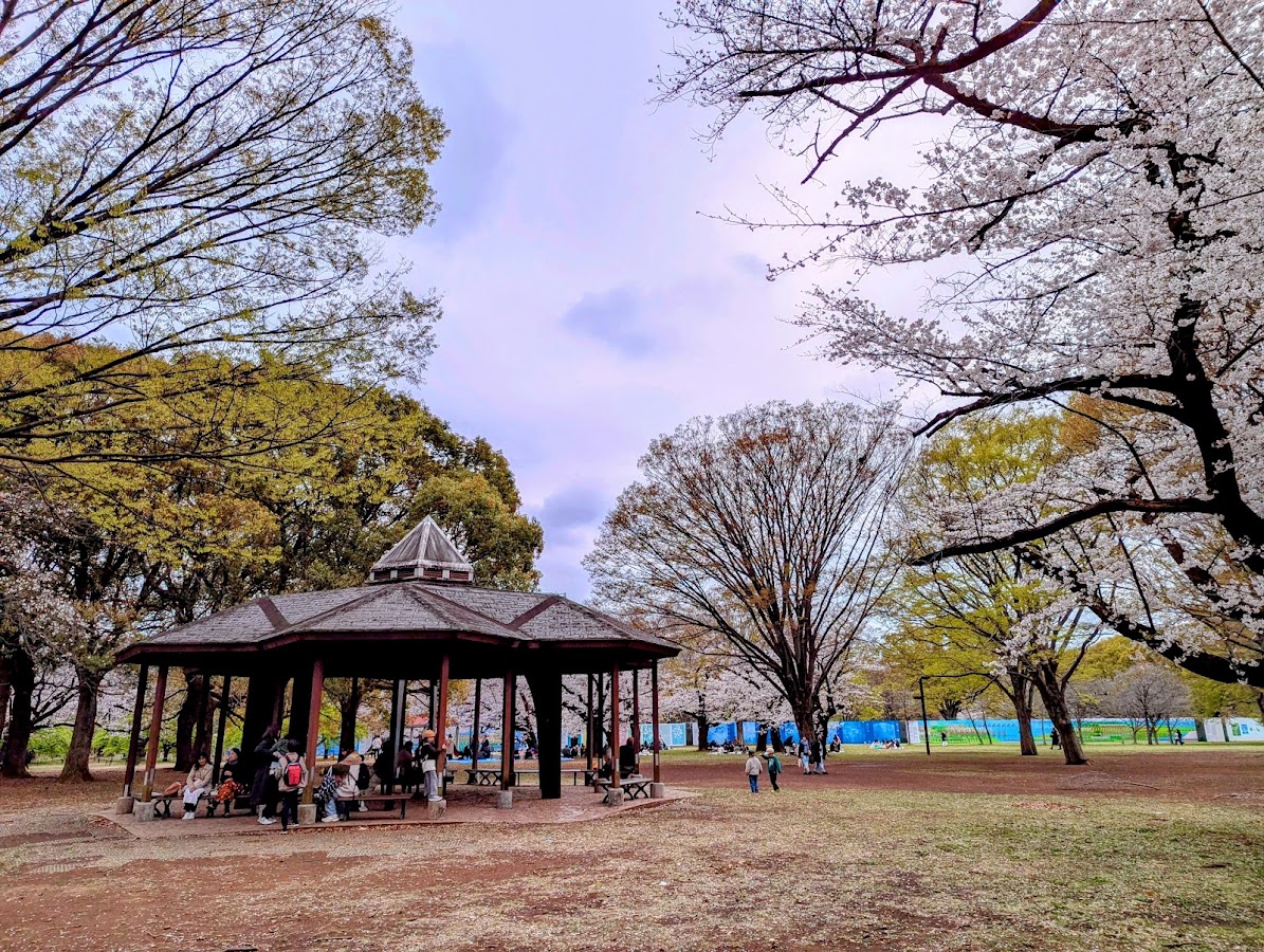 Yoyogi Park photo 9