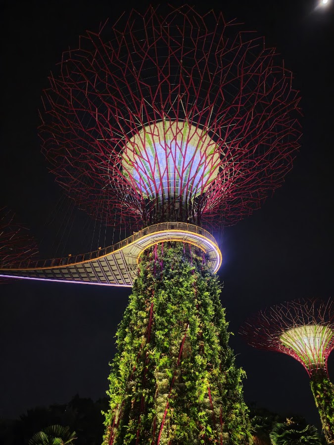Gardens by the Bay