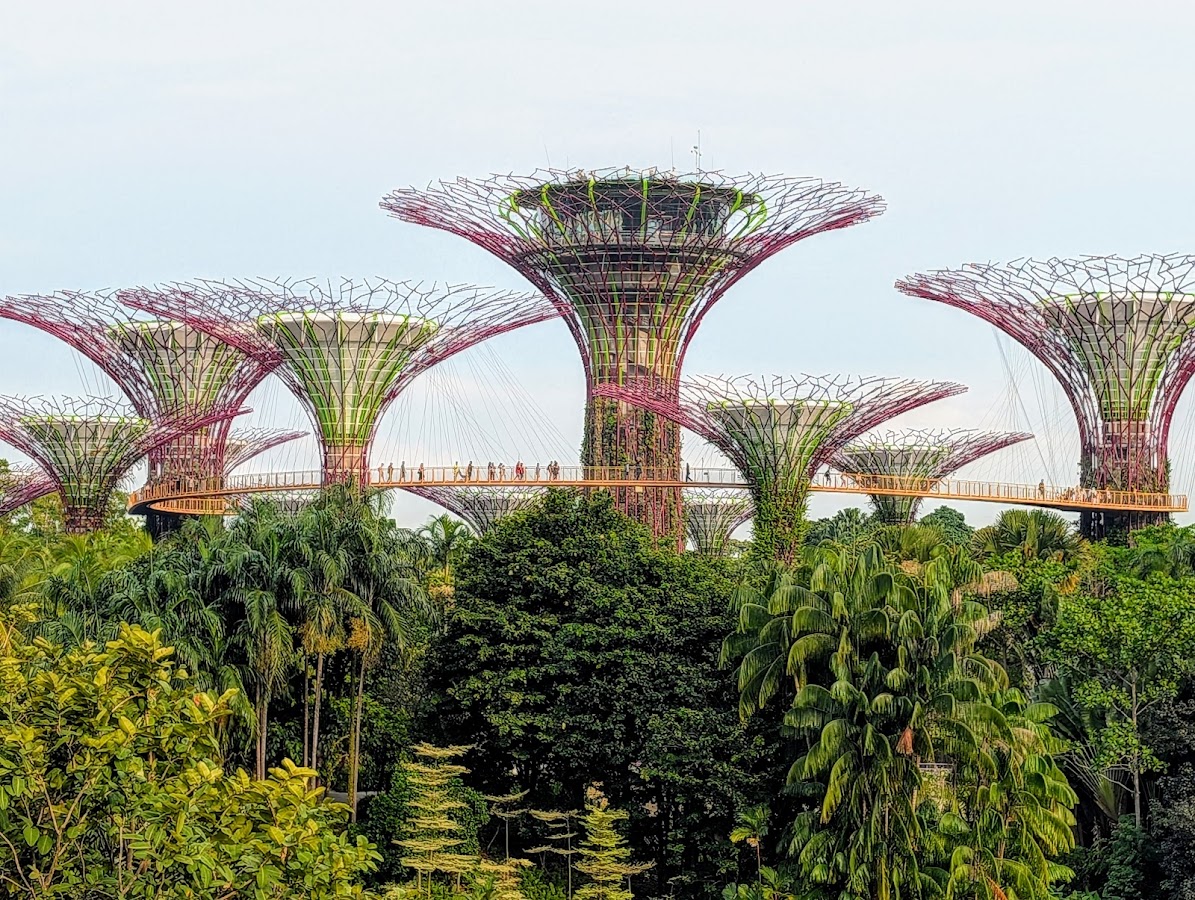 Gardens by the Bay photo 2