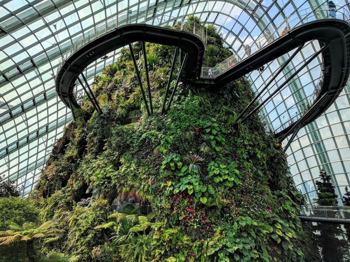 Gardens by the Bay photo 3