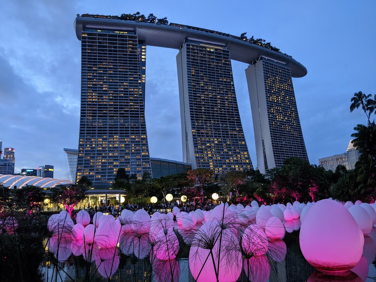 Gardens by the Bay photo 4