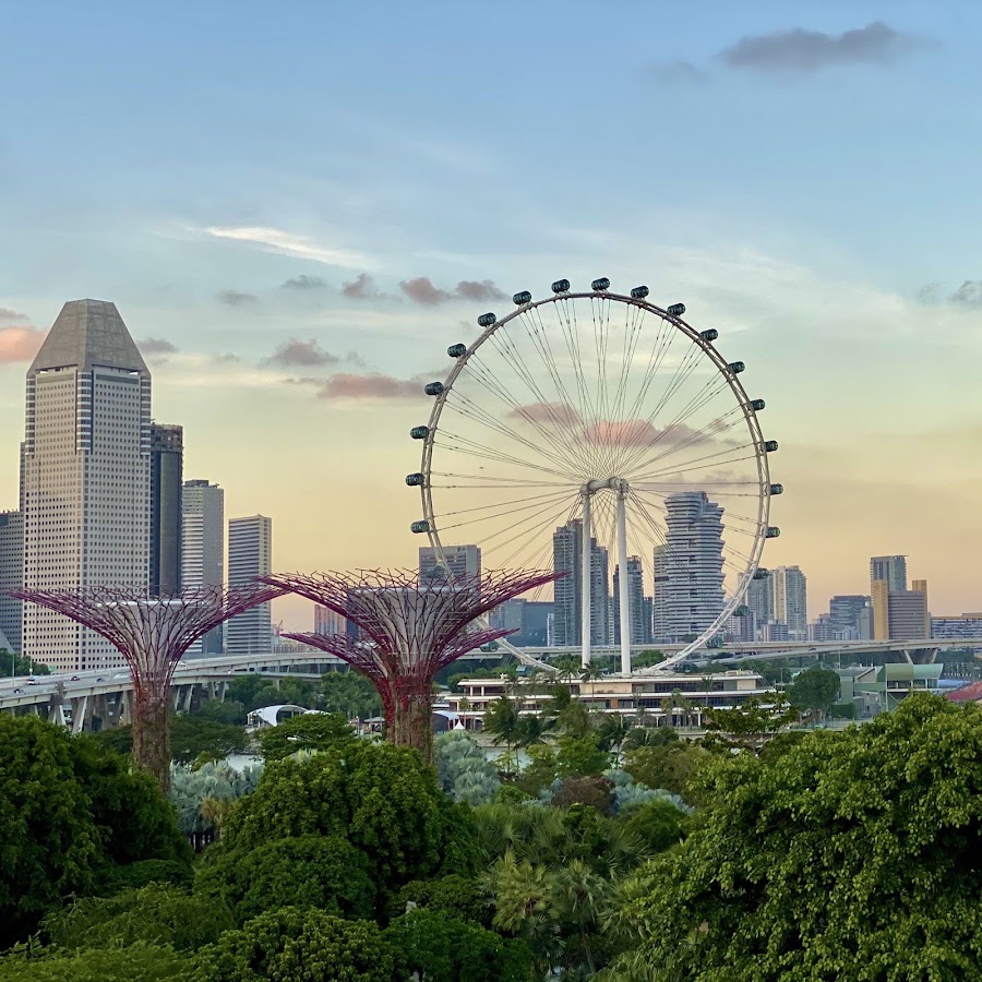 Gardens by the Bay photo 5