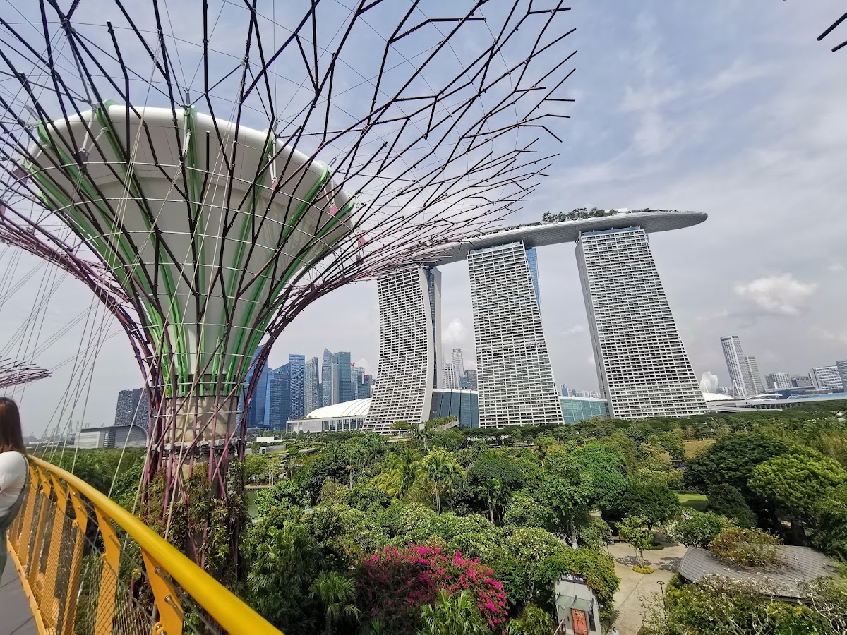 Gardens by the Bay photo 6