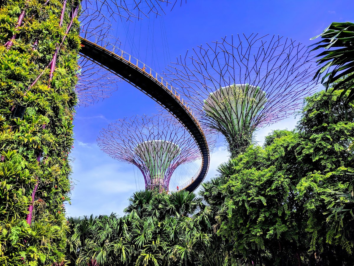 Gardens by the Bay photo 7