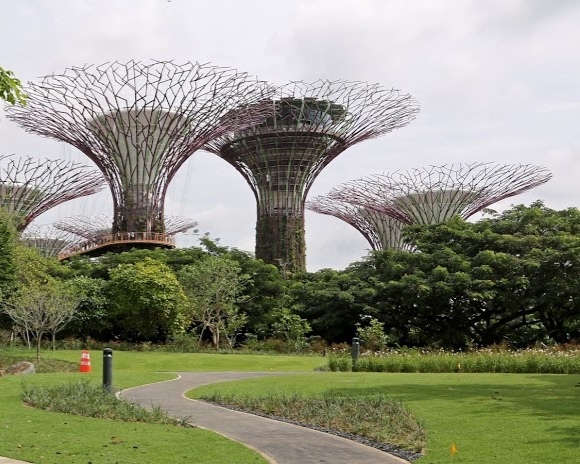 Gardens by the Bay photo 8