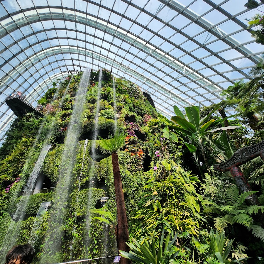 Gardens by the Bay photo 9