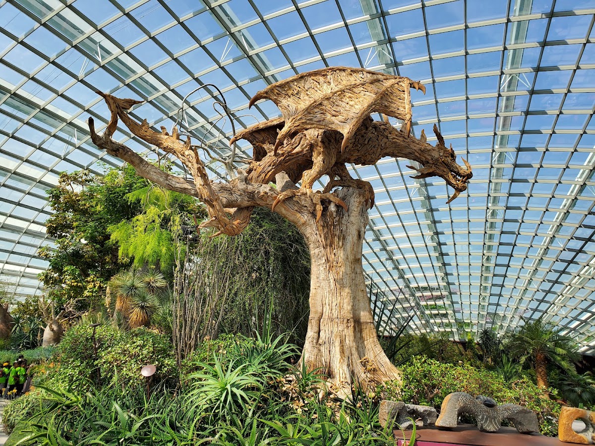 Gardens by the Bay photo 10