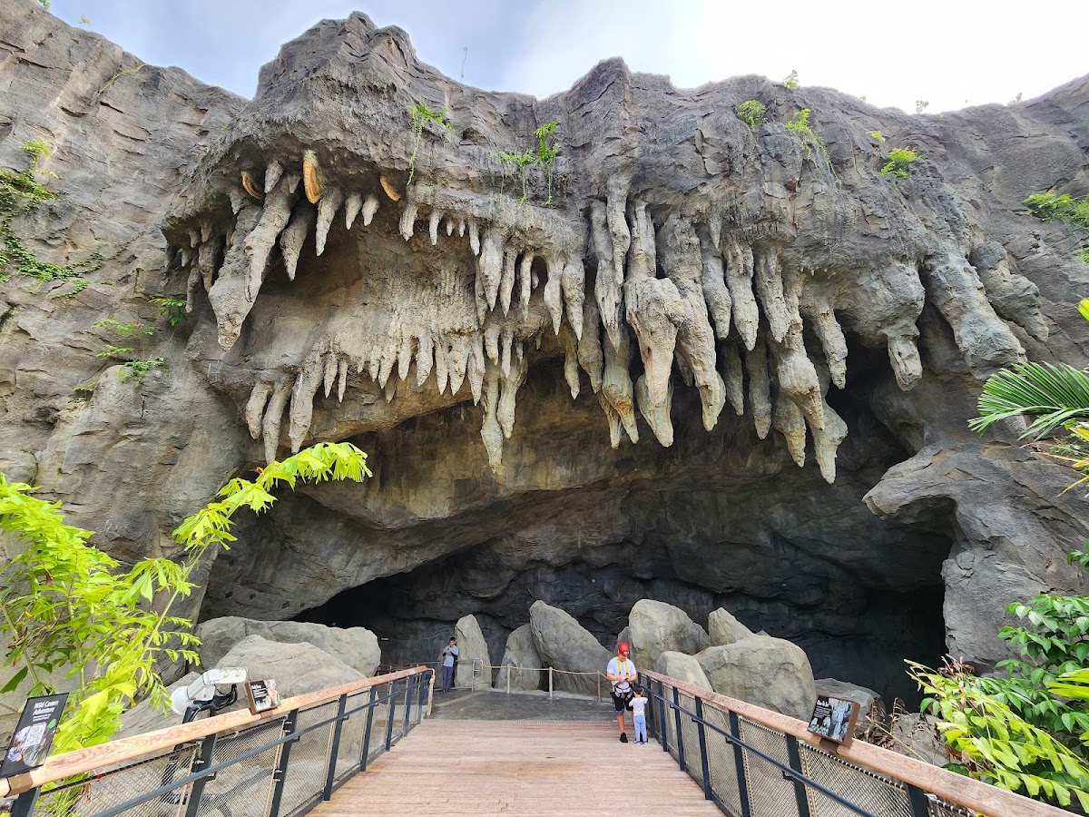 Rainforest Wild Adventure WEST photo 3
