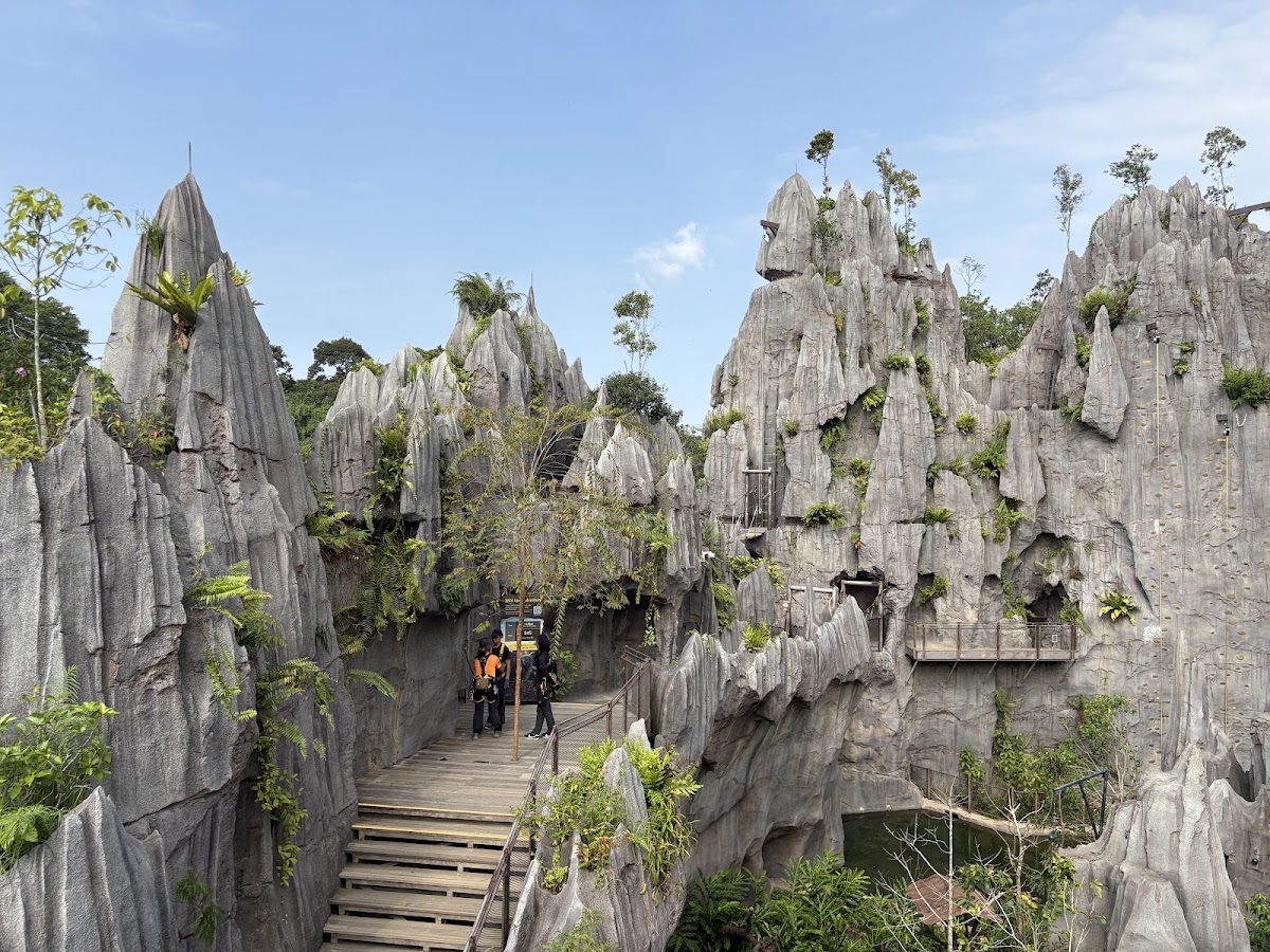 Rainforest Wild Adventure WEST photo 4
