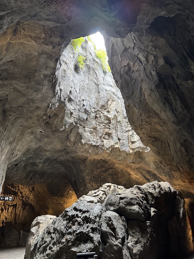 Rainforest Wild Adventure WEST photo 8