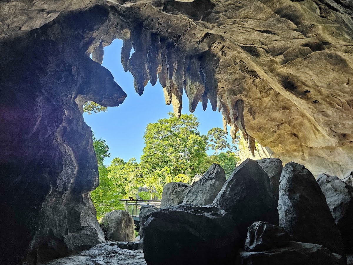 Rainforest Wild Adventure WEST photo 9