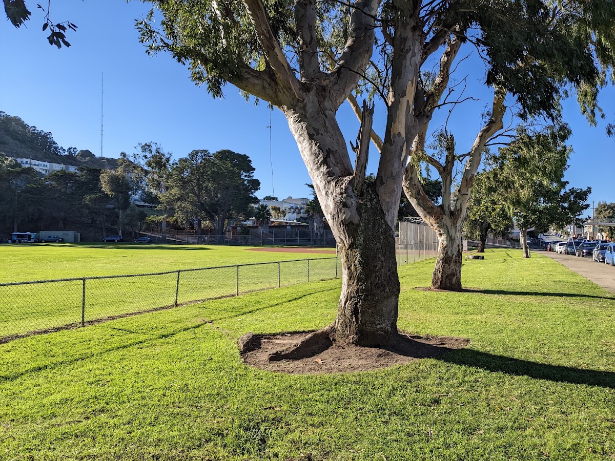 Gilman Playground Park photo 3