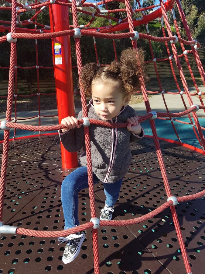 Gilman Playground Park photo 9