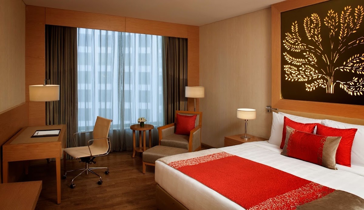 Radisson Blu Hotel, New Delhi Dwarka photo 2