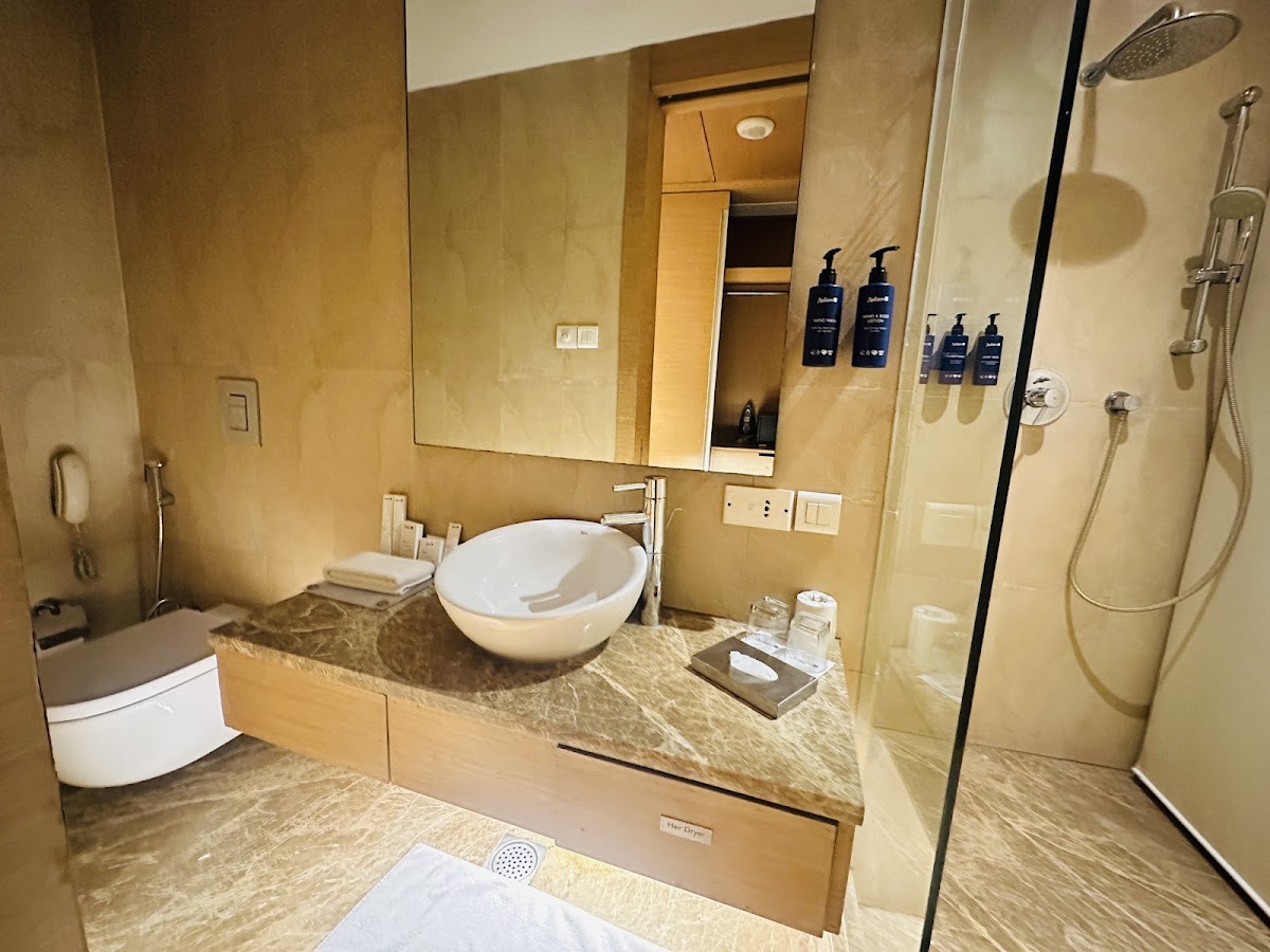 Radisson Blu Hotel, New Delhi Dwarka photo 8