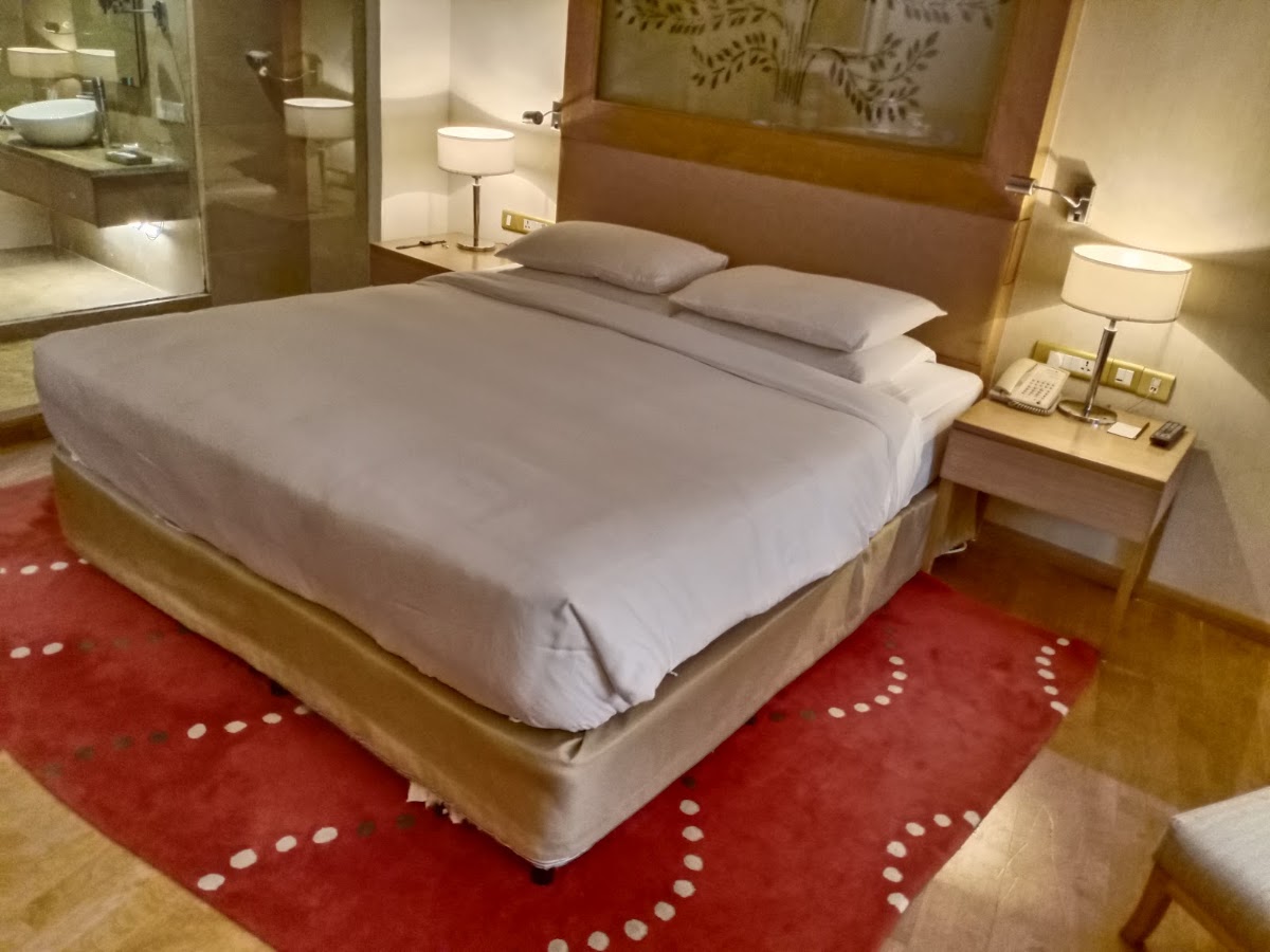 Radisson Blu Hotel, New Delhi Dwarka photo 9