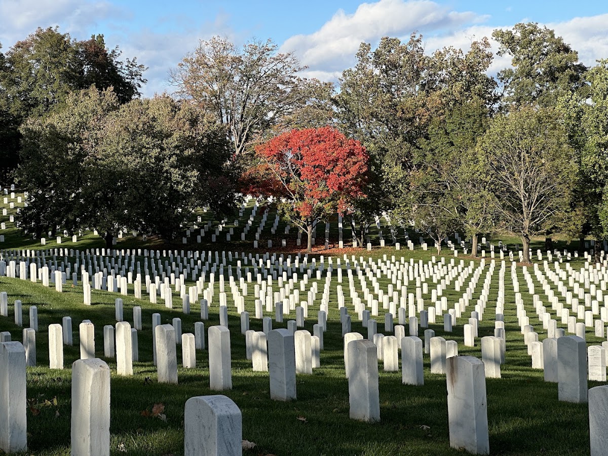 The Tomb of the Unknown Soldier photo 5