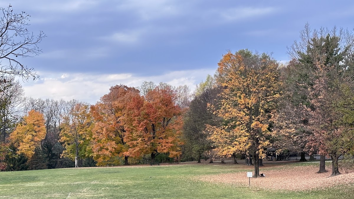 Van Dyck Park photo 3