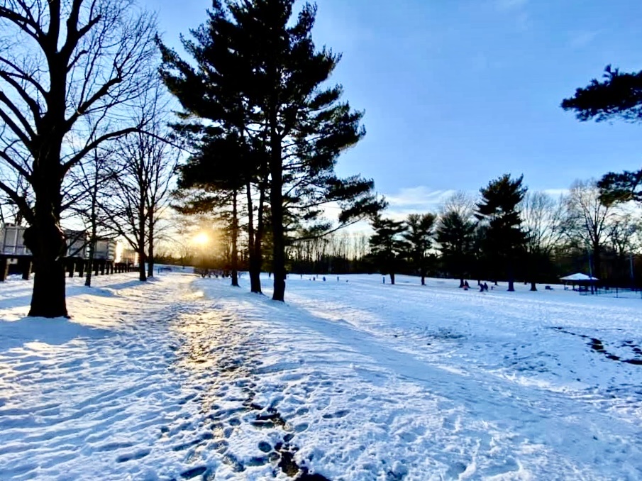 Van Dyck Park photo 8