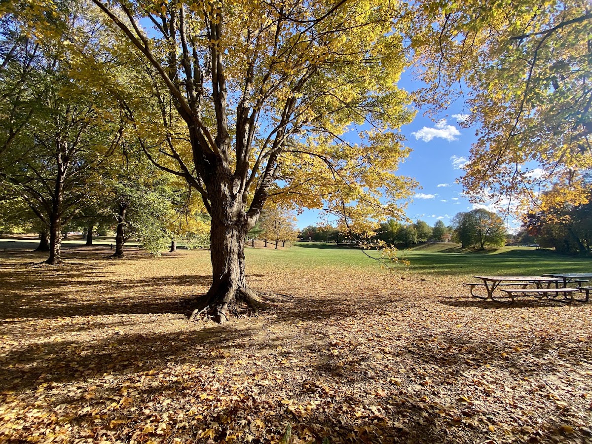 Van Dyck Park photo 10