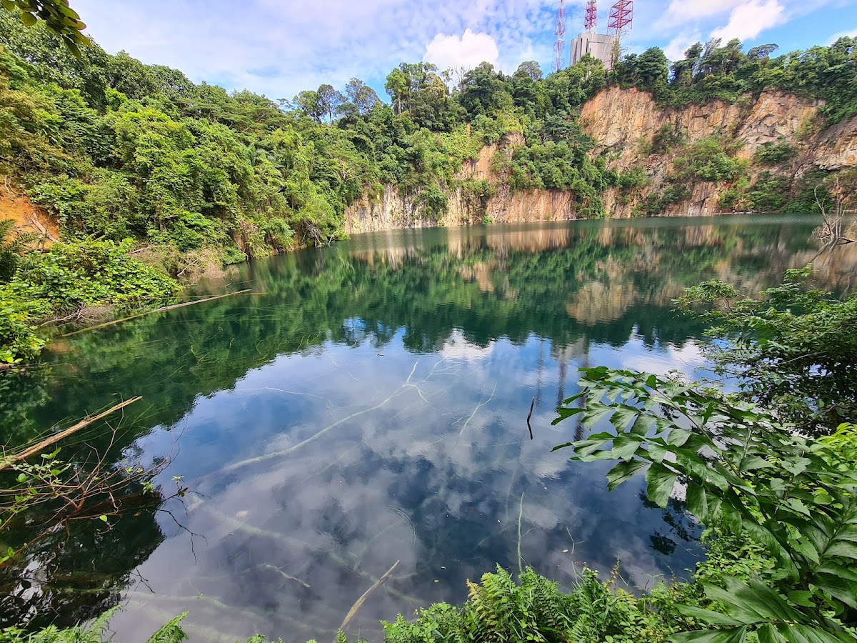 Bukit Timah Nature Reserve