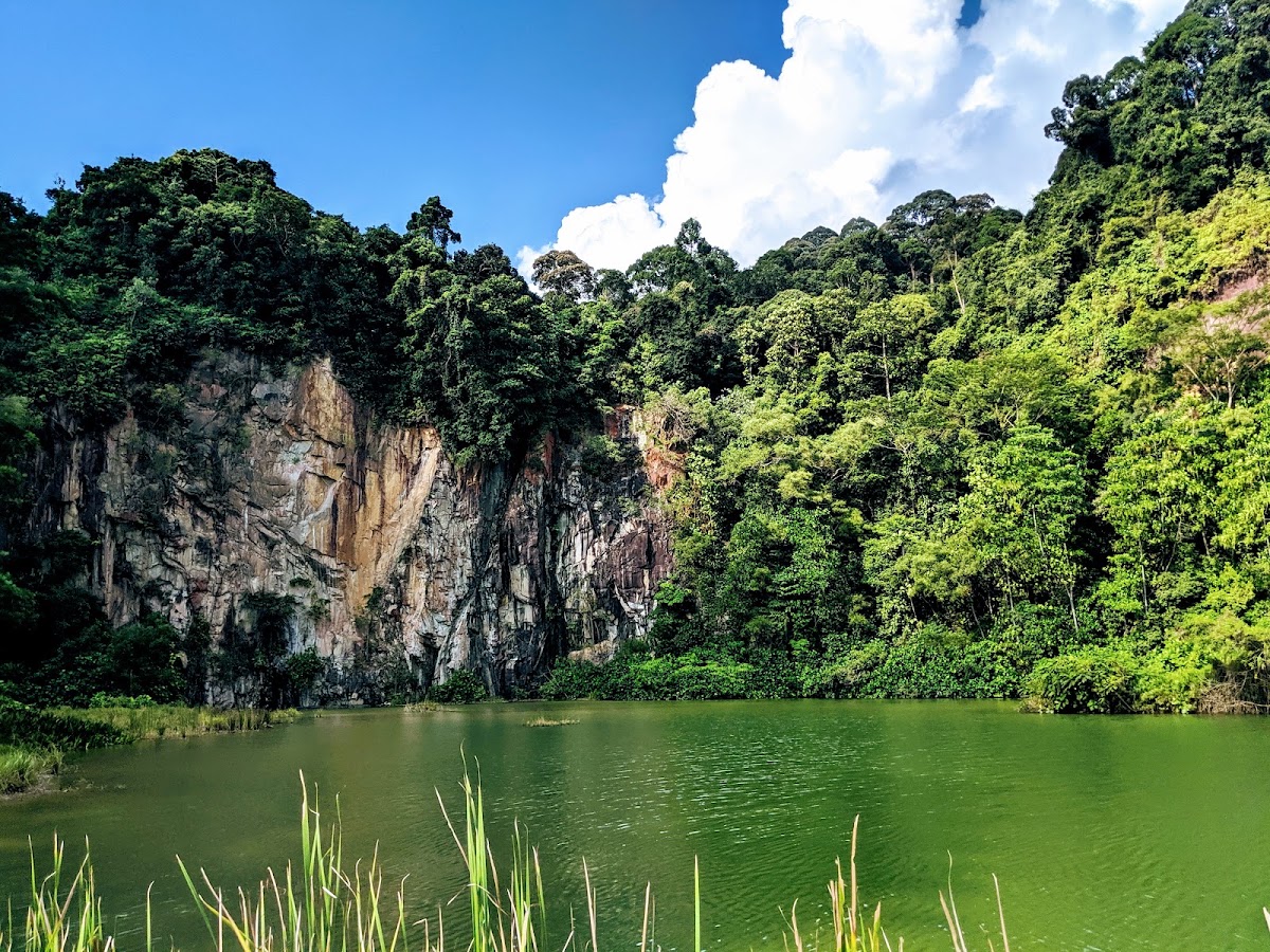 Bukit Timah Nature Reserve photo 2