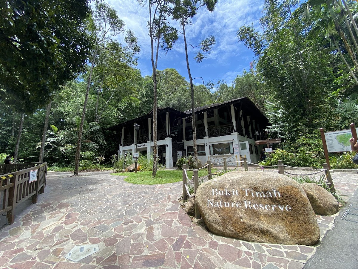 Bukit Timah Nature Reserve photo 6