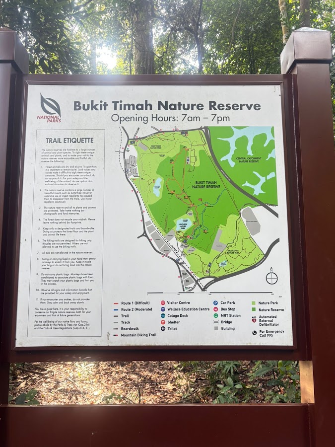 Bukit Timah Nature Reserve photo 7